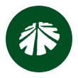 杉杉股份logo