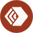*ST宜康logo