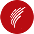 国华网安logo