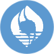 ST金鸿logo
