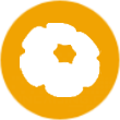 西王食品logo