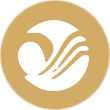 亚太实业logo
