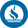 蓝焰控股logo
