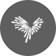 太平鸟logo
