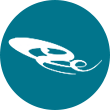 网宿科技logo