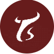 *ST天山logo
